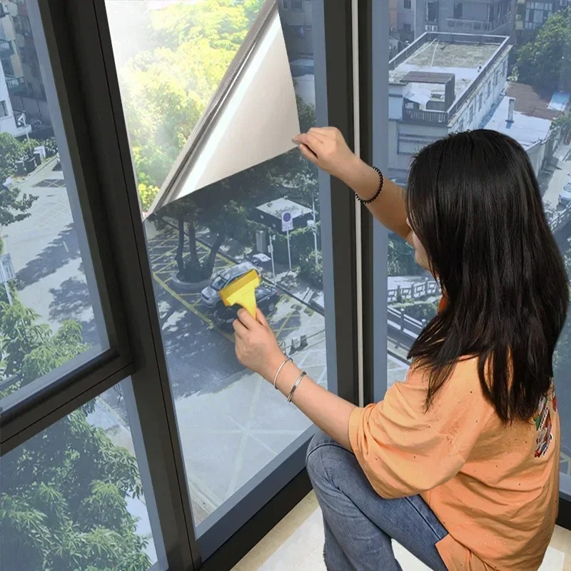 House Window Privacy Film Adhe - Privacy Screen Protector 评论和价格